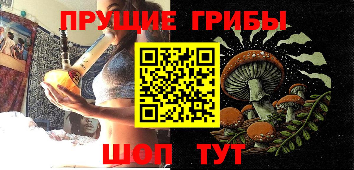 Великие Луки  Псилоцибиновые грибы Psilocybe  Вход с VPN 